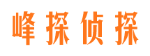 乌伊岭市出轨取证